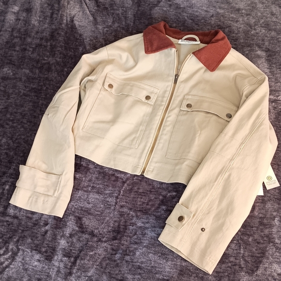 NWT No Boundaries Cropped Beige/Brown Collared Zip Jacket Womens size: S(4-6) - Picture 8 of 15